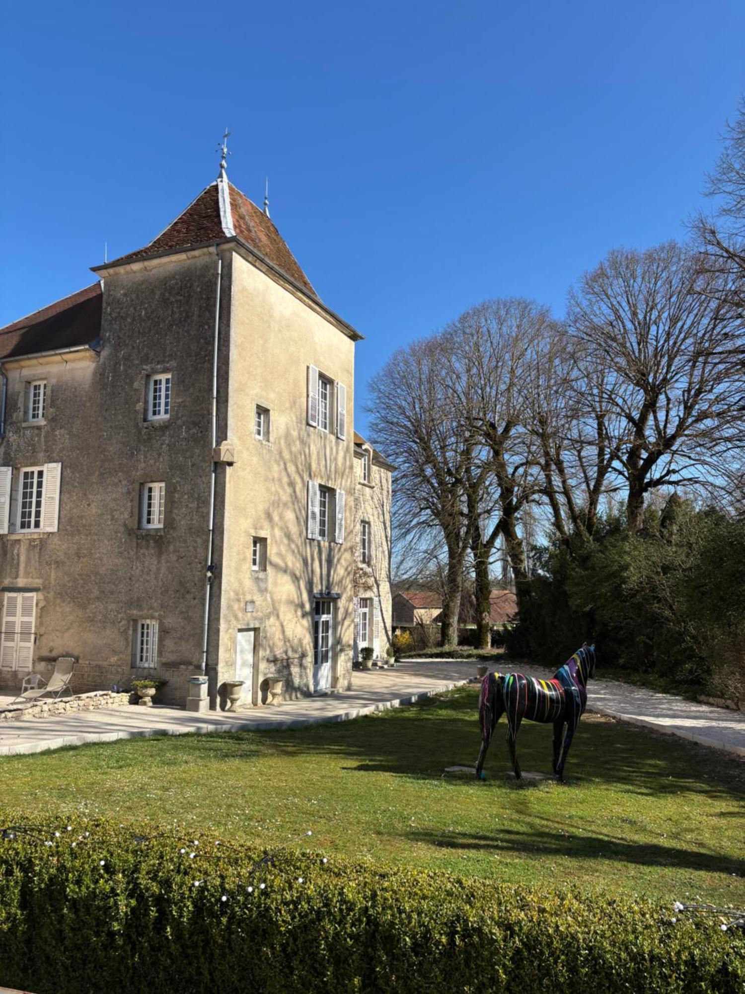 Chateau La Hussardiere Dampierre-sur-Salon Dış mekan fotoğraf