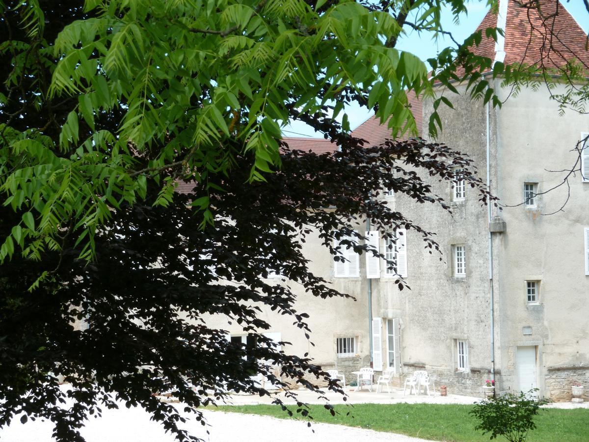 Chateau La Hussardiere Dampierre-sur-Salon Dış mekan fotoğraf