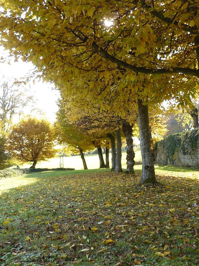 Chateau La Hussardiere Dampierre-sur-Salon Dış mekan fotoğraf